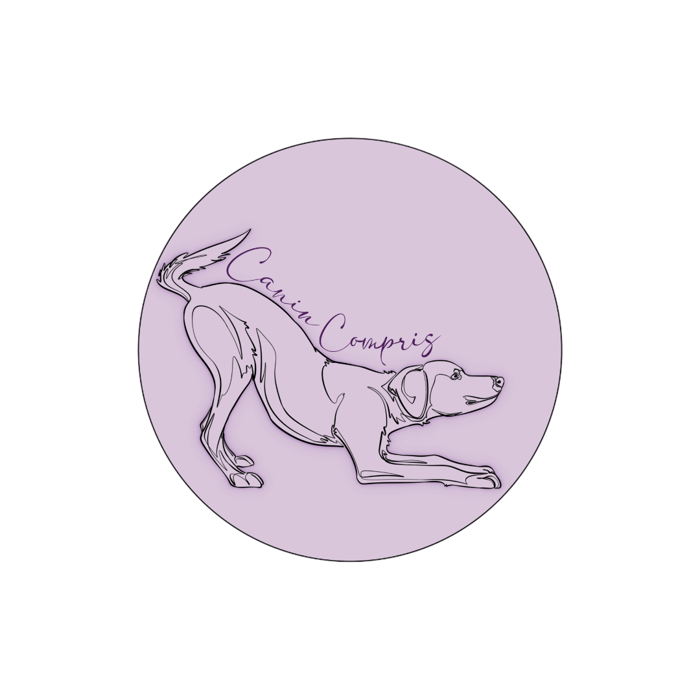 CaninCompris logo
