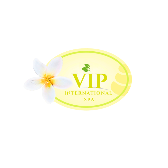 VIP INTERNATIONAL SPA logo