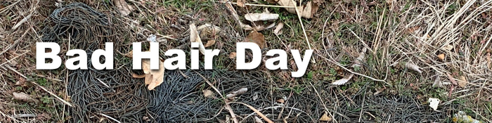 BadHairDayGenealogy.com logo