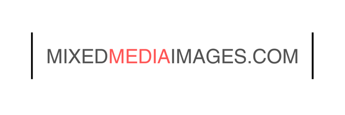SophiaWebb.com logo
