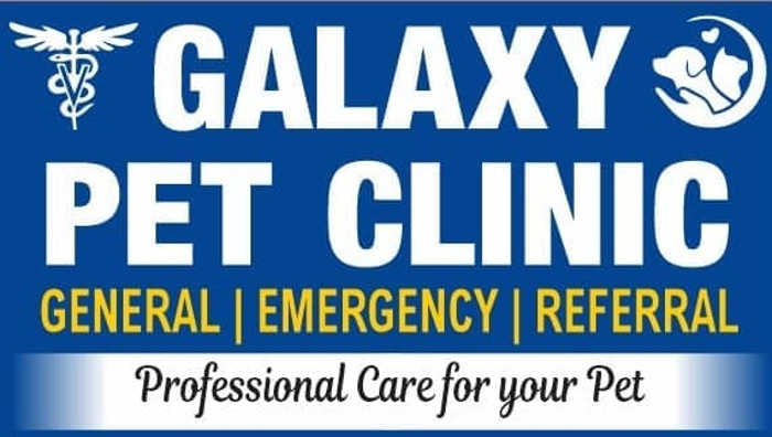 Galaxy Pet Clinic logo