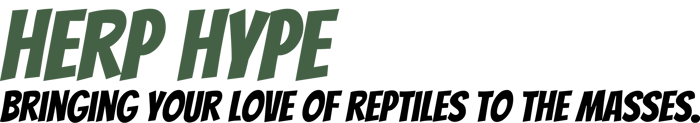 Herp Hype logo