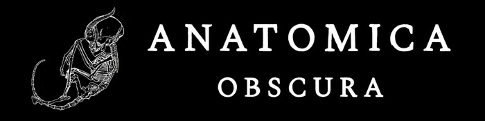 Anatomica Obscura logo