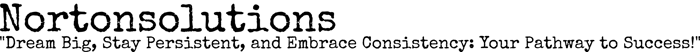 Norton solutions logo