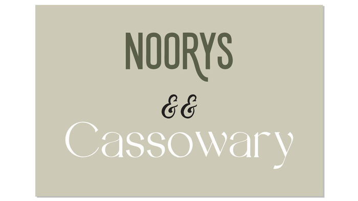 NOORYS logo