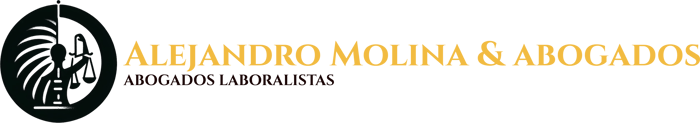 Alejandro Molina & abogados logo