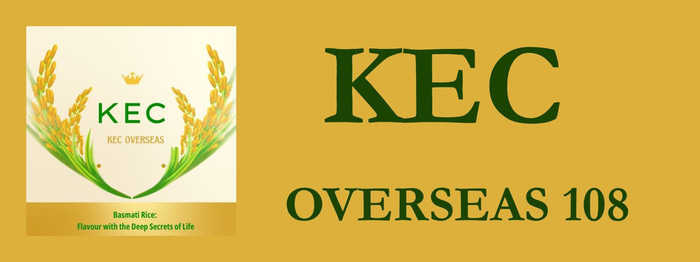 KEC OVERSEAS logo