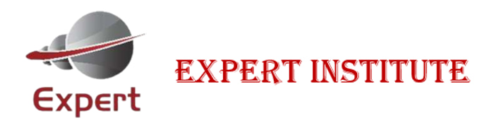 Expert Institute logo
