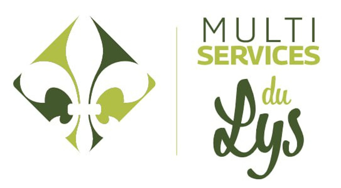 Multiservices du lys logo