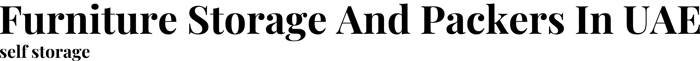 Furniture Storage And Packers In UAE logo