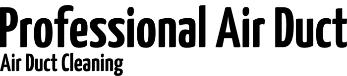 Professional Air Duct logo