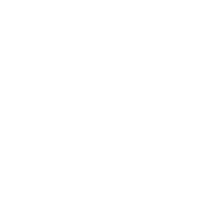 Evolve AI Automations logo