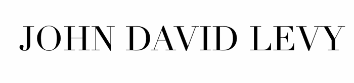 JOHN DAVID LEVY | ARTIST | FILM | PHOTOGRAPHY logo