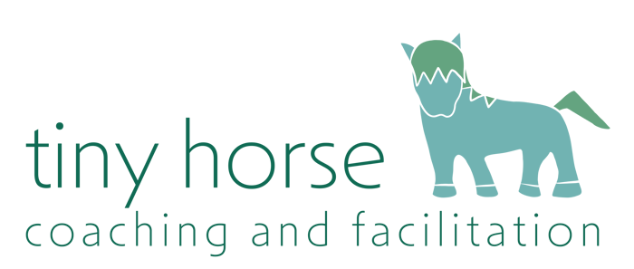 Tiny Horse Coaching and Facilitation logo