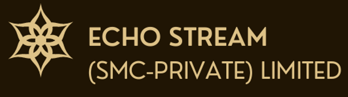 ECHO STREAM logo