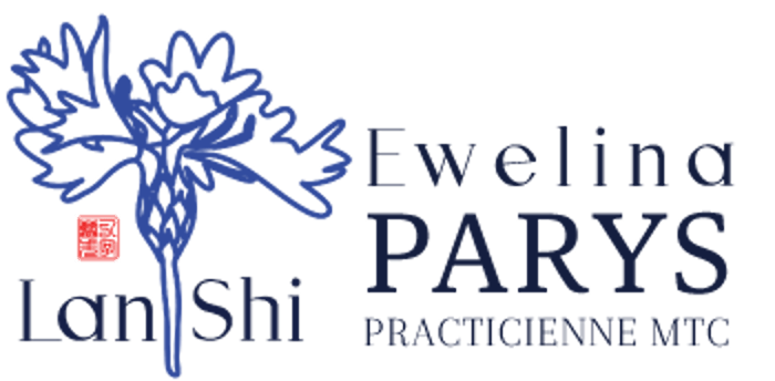 Lan Shi logo