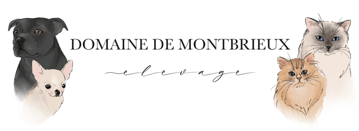 Domaine De Montbrieux logo