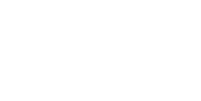 AUDITORIA EXTERNA logo