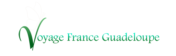 basse-terre logo