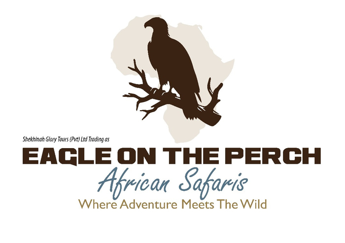 Eagle On The Perch logo