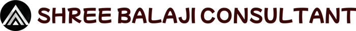 Shree Balaji Consultants logo