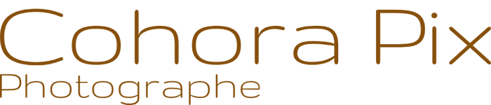 Cohora Pix logo