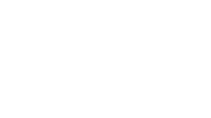 Nazpro Studio logo