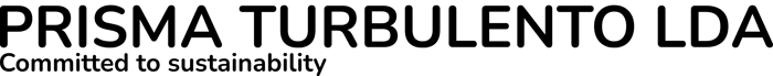 PRISMA TURBULENTO LDA logo