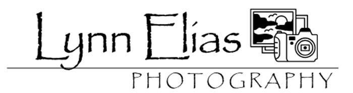 Lynn Elias Photography logo