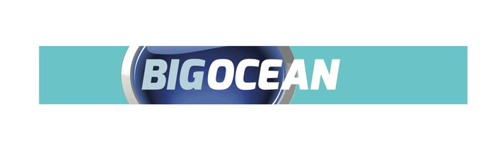 Big Ocean logo