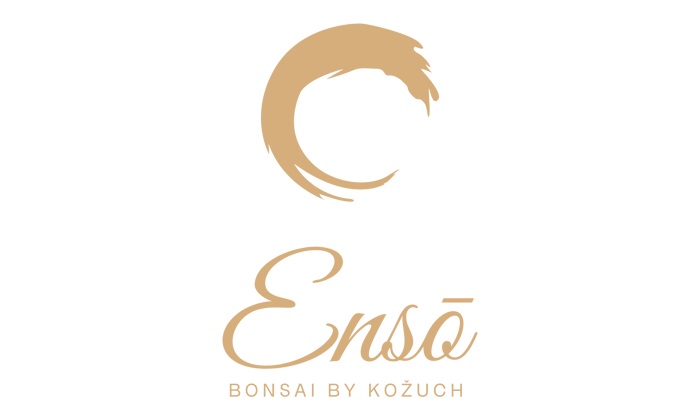 Enso bonsai logo