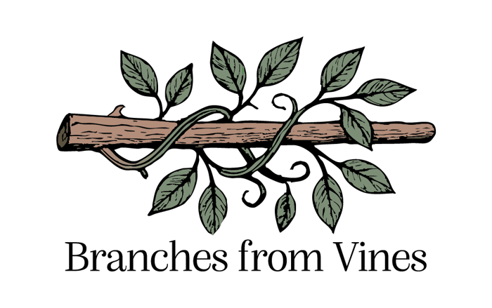 Branches from Vines logo