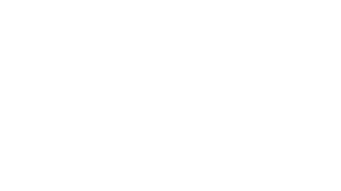 visionlb.fr logo