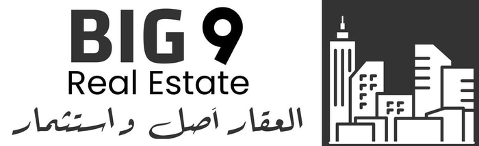BIG9 logo