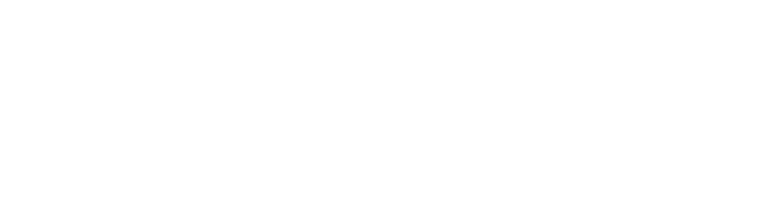Skyline Shine logo