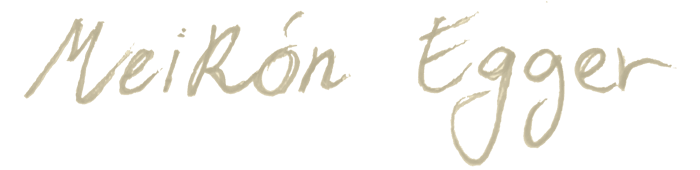 MeiRòn Egger logo