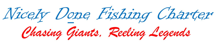 Nicely Done Charters logo