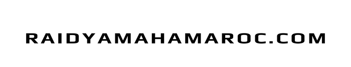 raidyamahamaroc.com logo