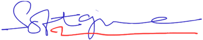 Softgine logo