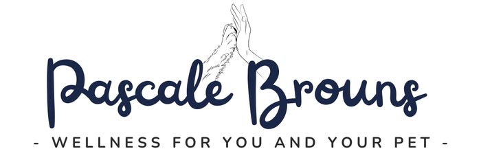 Pascale Brouns logo