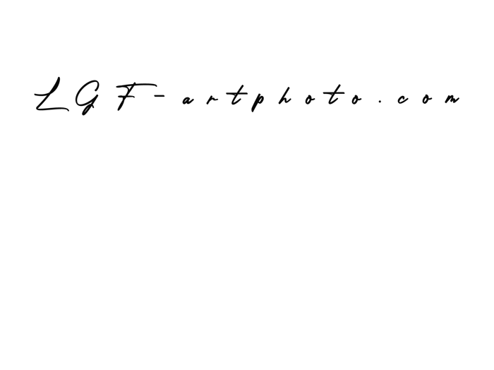 LGF-artphoto.com logo