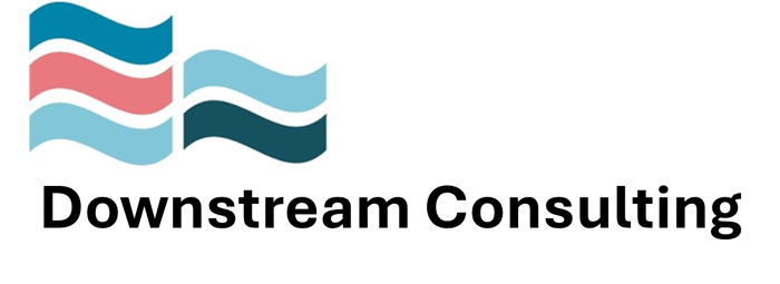 Downstream Consulting logo