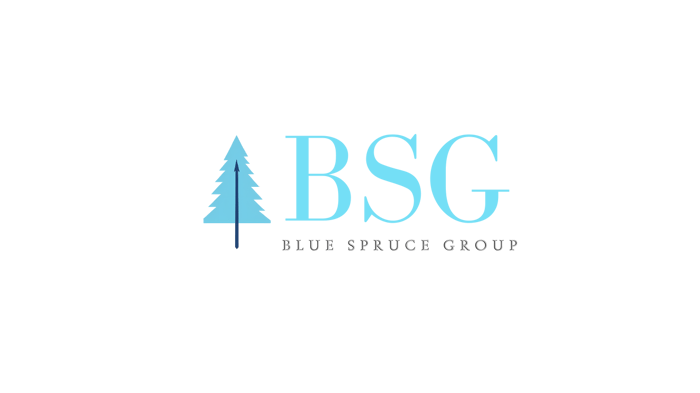 Blue Spruce Group llc logo