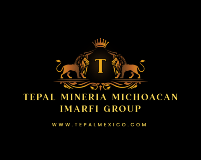 PROYECTO MINERO IMARFI EN TEPAL EN MICHOACAN logo