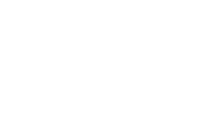 Elite Purser logo