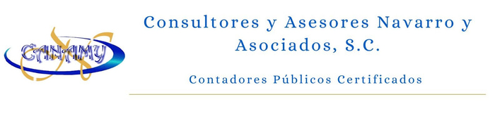 Consultores y Asesores Navarro y Asociados, S.C logo