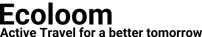 Ecoloom logo
