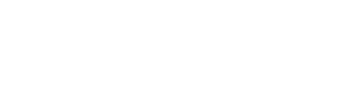 SLAYDE logo