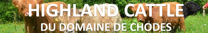 Highland Cattle "du Domaine de Chôdes" logo