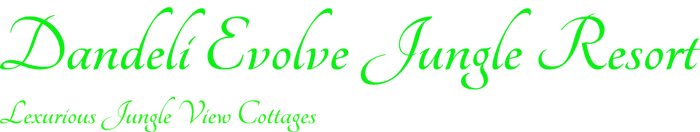 Dandeli Evolve logo